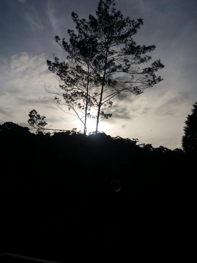 Quinta Los Volcanes Turrialba Bagian luar foto