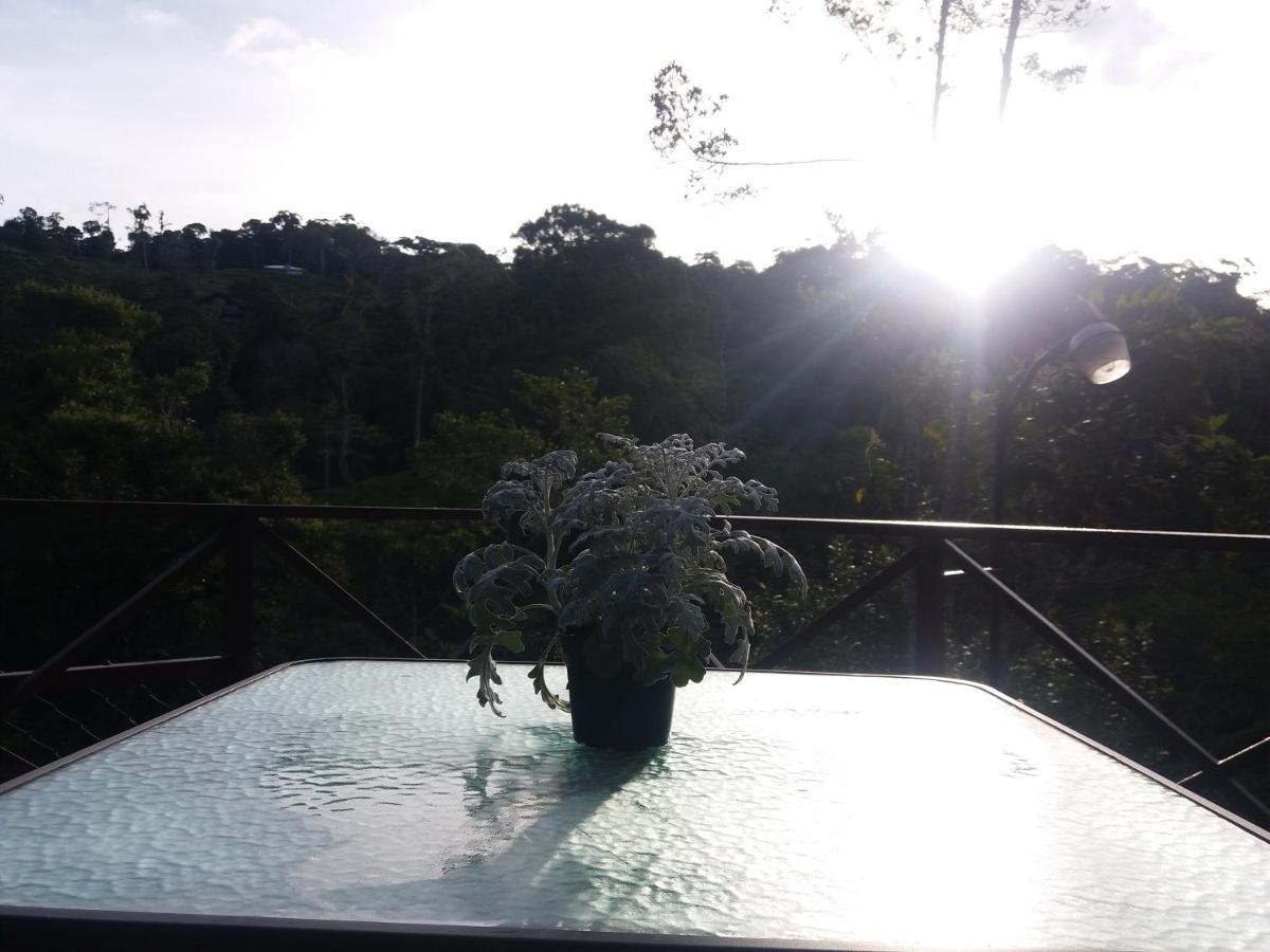 Quinta Los Volcanes Turrialba Bagian luar foto
