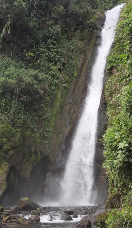 Quinta Los Volcanes Turrialba Bagian luar foto