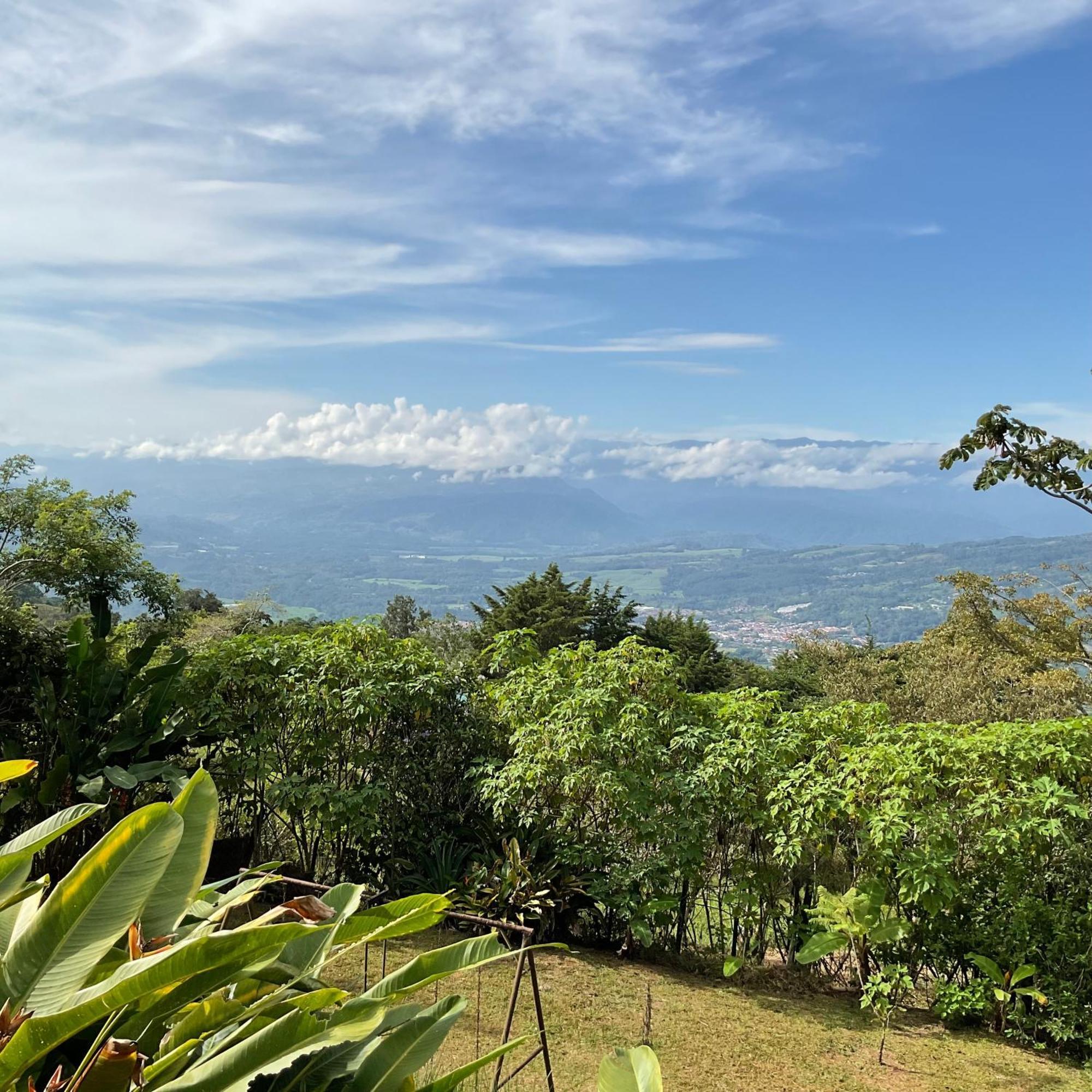 Quinta Los Volcanes Turrialba Bagian luar foto
